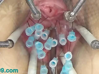 Avant-garde German BDSM inner Pussy Cervix and Tits